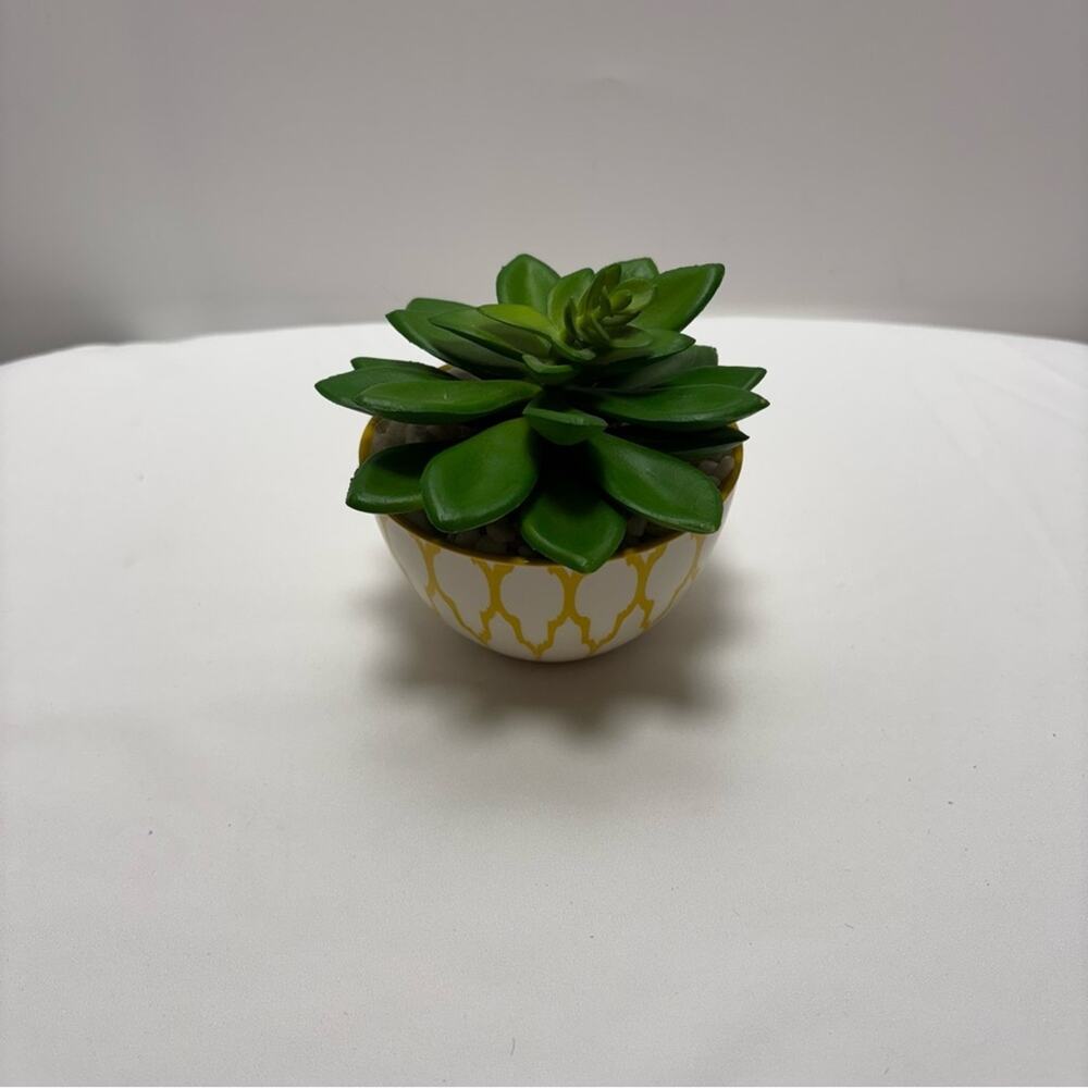 Small Artificial Green Succulent in Decorative Pot